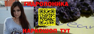 амф Можга