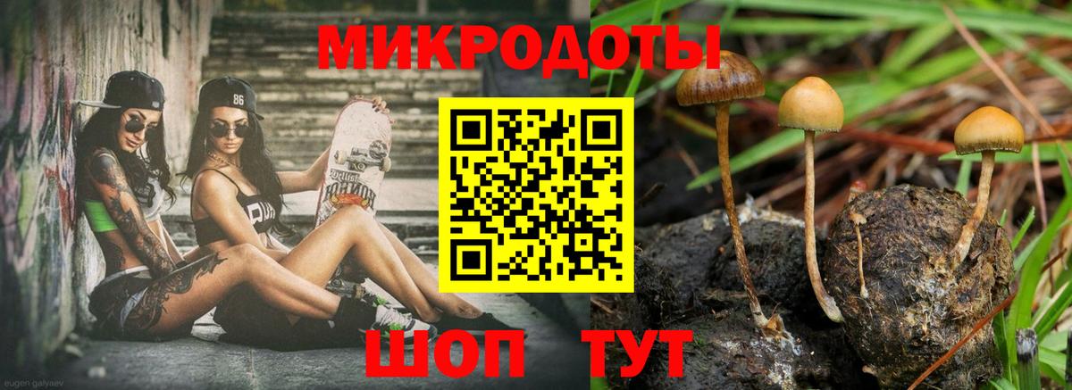 Галлюциногенные грибы Psilocybe  как найти закладки  Великий Новгород  Вход с VPN  Галлюциногенные грибы мицелий 