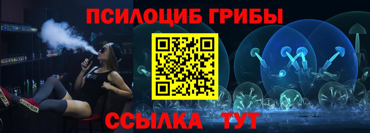 Галлюциногенные грибы Psilocybine cubensis Великий Новгород