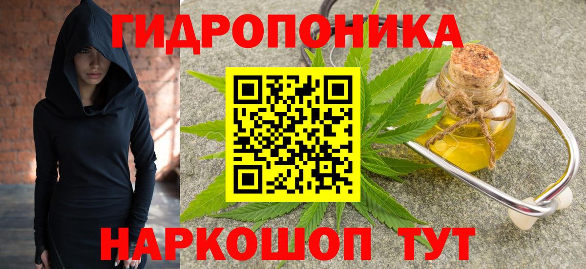 Шишки марихуана марихуана Великий Новгород